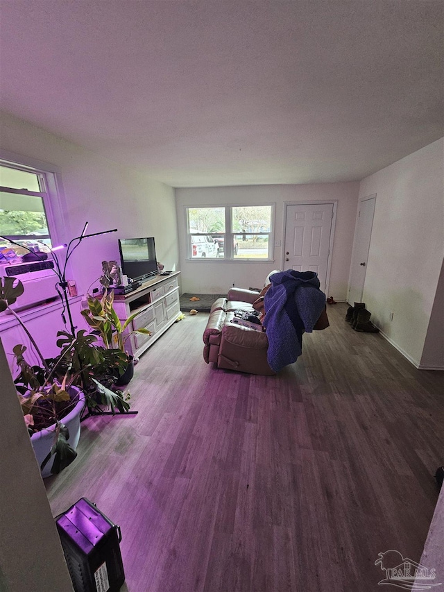 living room featuring wood-type flooring