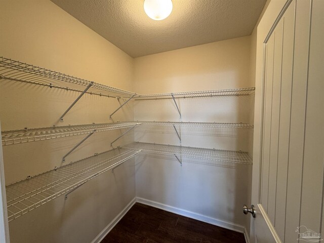 walk in closet with dark wood-type flooring