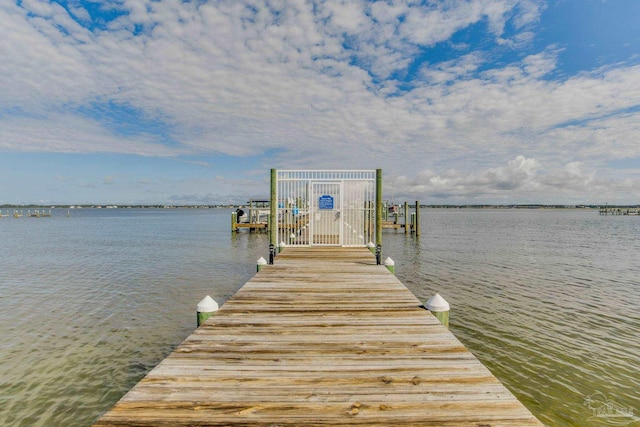 dock area with a water view