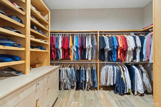 spacious closet with wood finished floors