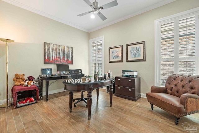 home office with a wealth of natural light, light wood-type flooring, ornamental molding, and ceiling fan