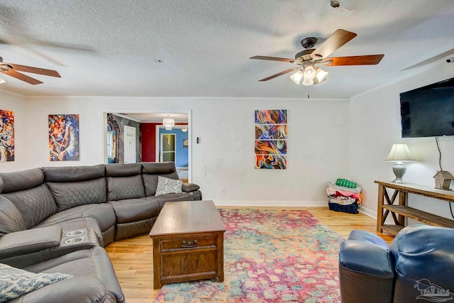 14574 N County Rd 65, Foley, AL 36535 - living room featuring ceiling fan, ornamental molding, light wood-type flooring, baseboards, and a textured ceiling