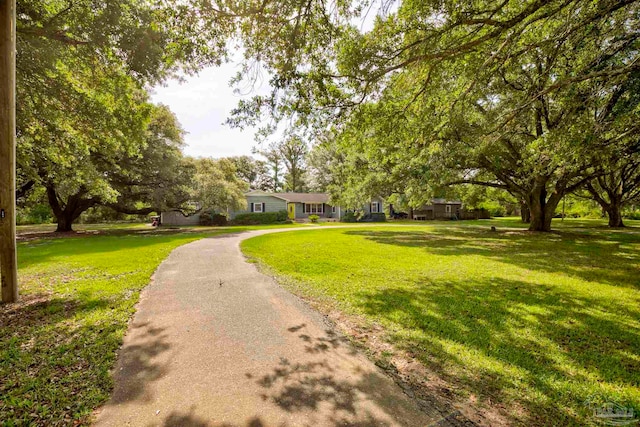 14574 N County Rd 65, Foley, AL 36535 - view of home's community featuring a lawn