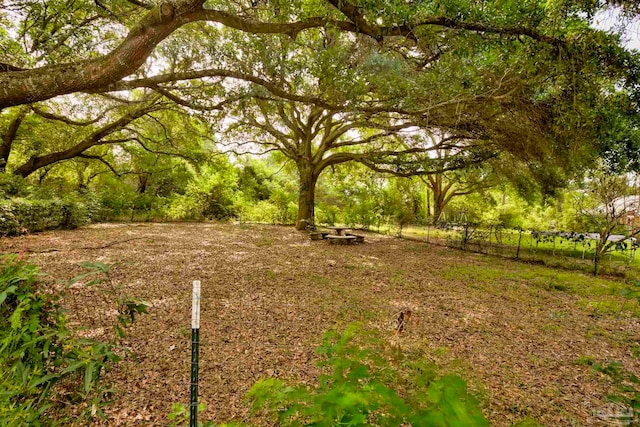 14574 N County Rd 65, Foley, AL 36535 - view of yard featuring fence