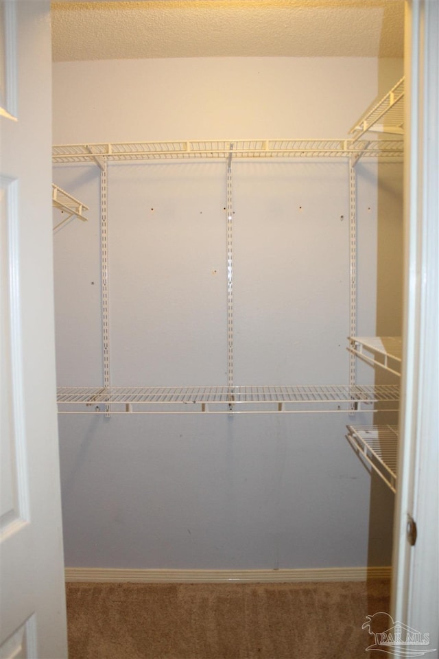 walk in closet featuring carpet flooring