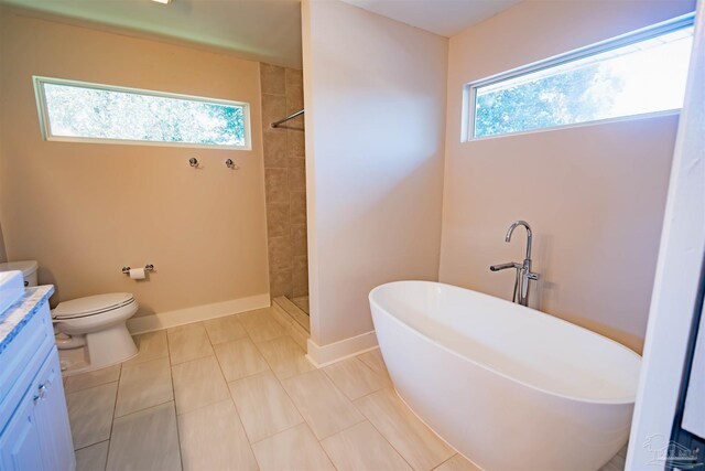 full bathroom with plenty of natural light, separate shower and tub, toilet, and vanity