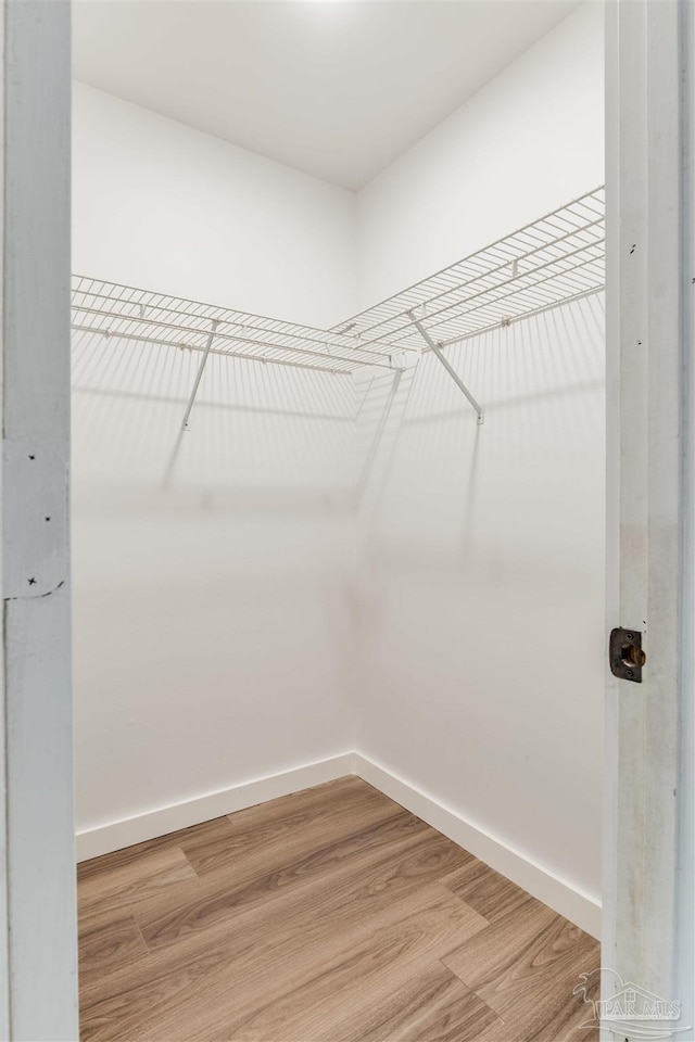 spacious closet with light wood-style flooring