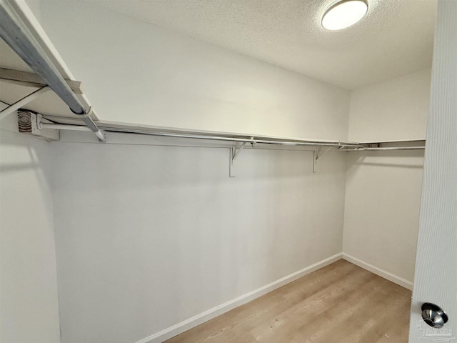 spacious closet with light wood-type flooring