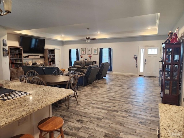 living room featuring a raised ceiling and ceiling fan