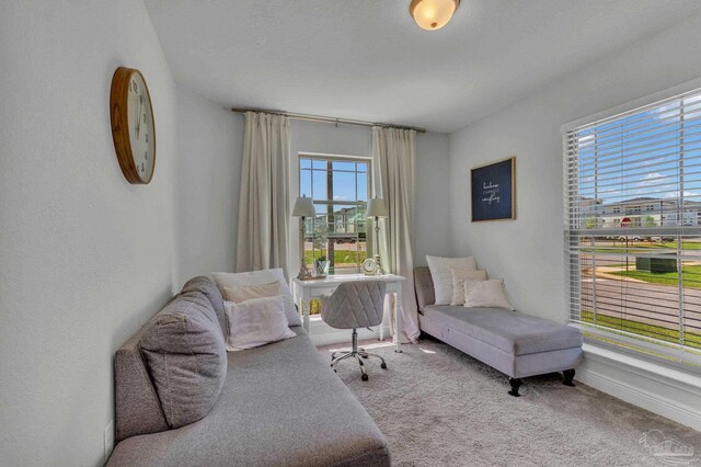 living area with baseboards and carpet floors