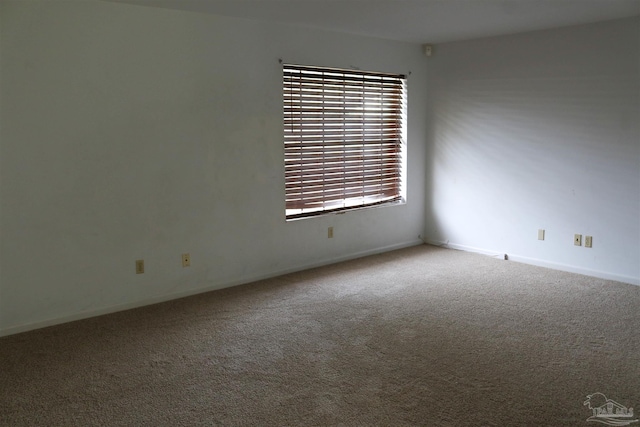 unfurnished room featuring carpet floors