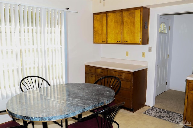 dining area with plenty of natural light