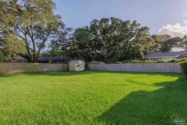 view of yard featuring a storage shed