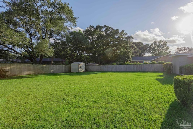 view of yard featuring a storage unit