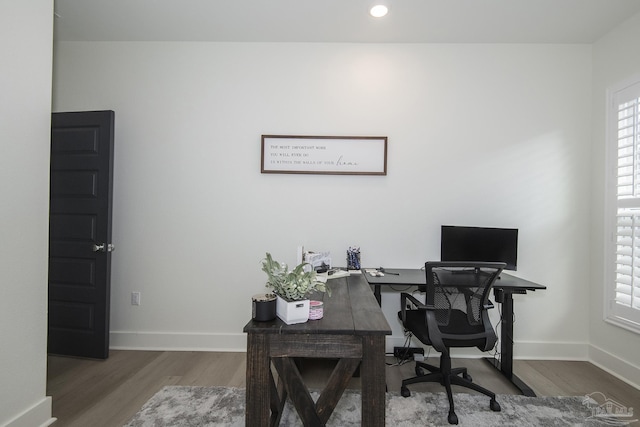 office with wood-type flooring