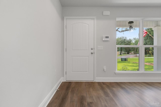 entrance foyer featuring a healthy amount of sunlight and dark hardwood / wood-style flooring