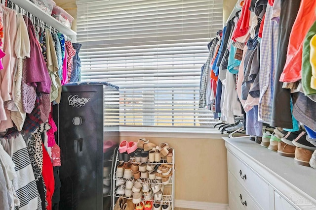 view of spacious closet