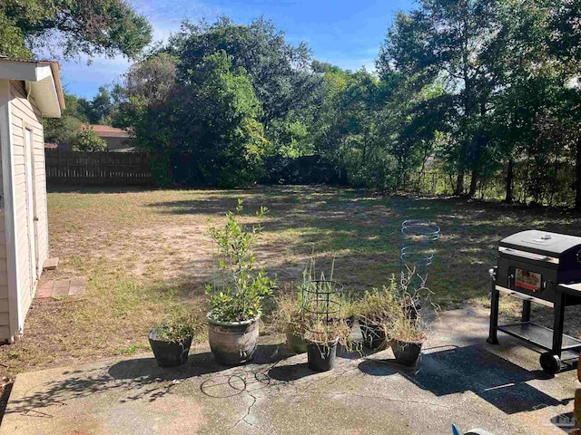 view of yard featuring a patio area