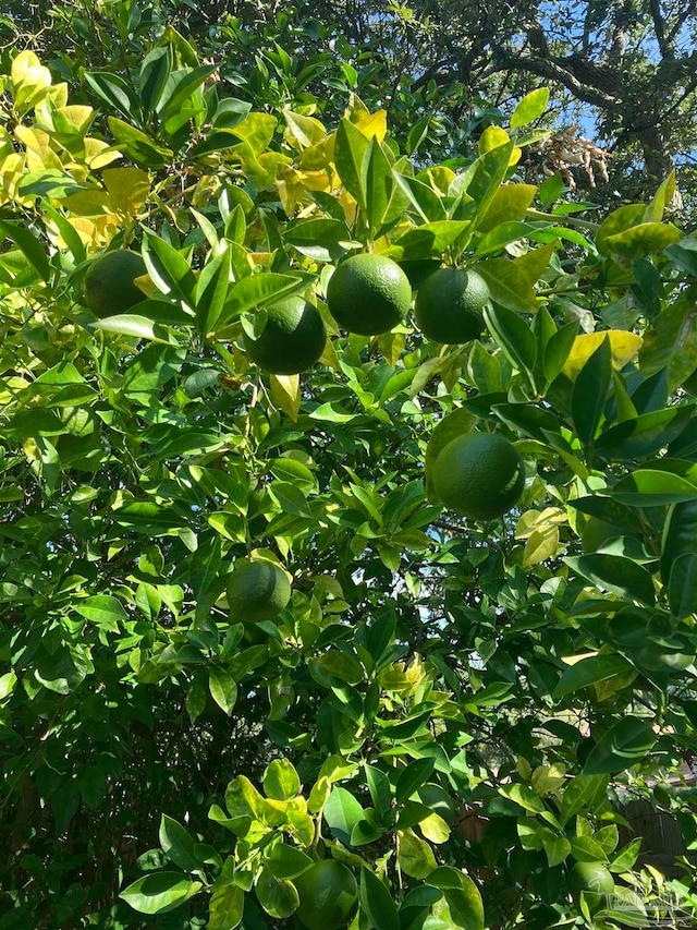 view of nature