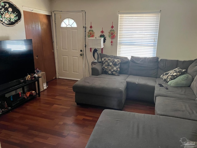 living room featuring dark hardwood / wood-style flooring