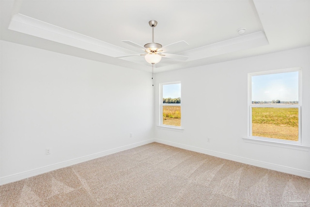 9319 Salter Rd, Pace, FL 32571 - empty room with baseboards, ceiling fan, a tray ceiling, and light carpet