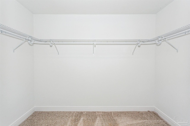 9319 Salter Rd, Pace, FL 32571 - walk in closet featuring carpet floors