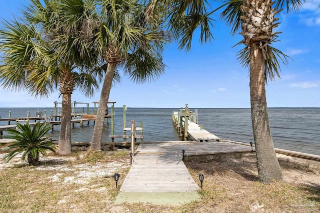 dock area with a water view