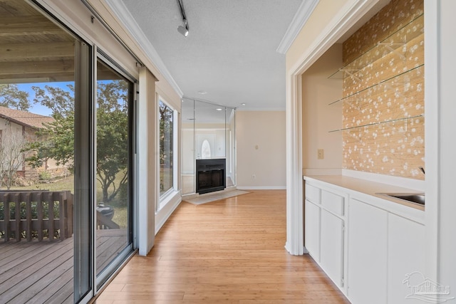 hall featuring a textured ceiling, track lighting, light wood-type flooring, and crown molding