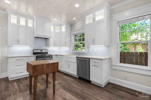 kitchen featuring white cabinetry, appliances with stainless steel finishes, and dark hardwood / wood-style floors