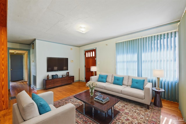 living room with wood-type flooring