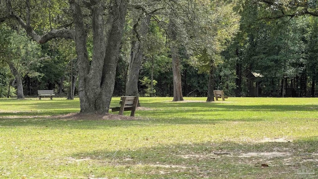 4387 Winged Elm Ct, Pace, FL 32571 - view of property's community with a lawn
