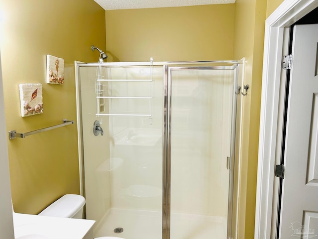 bathroom with toilet, a stall shower, and vanity