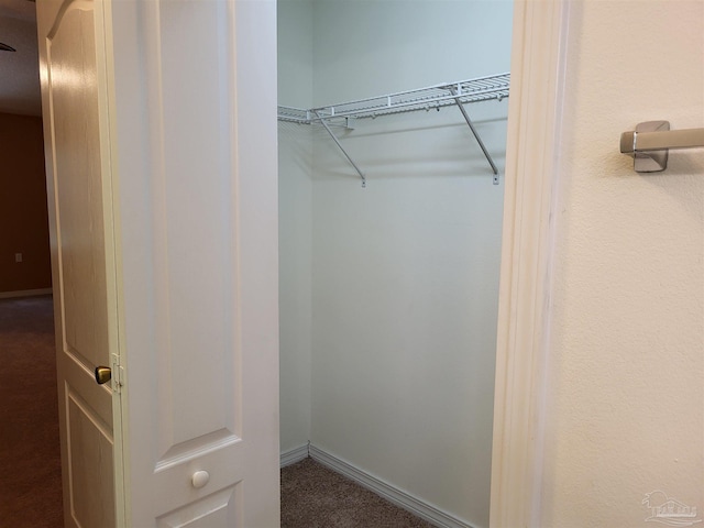 view of closet