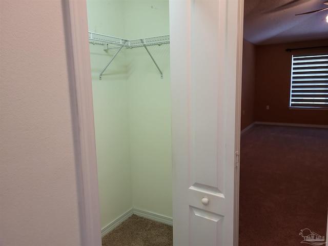 view of closet