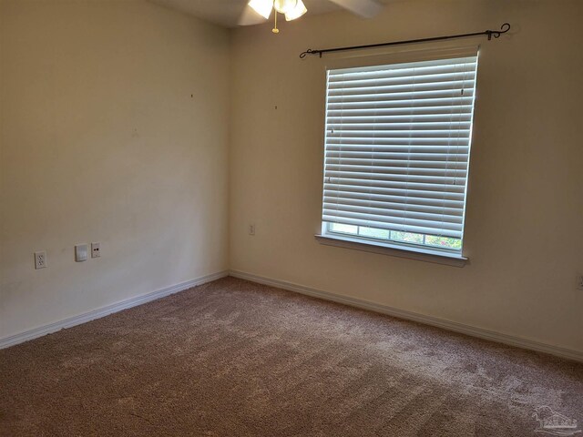 unfurnished room featuring ceiling fan and carpet floors