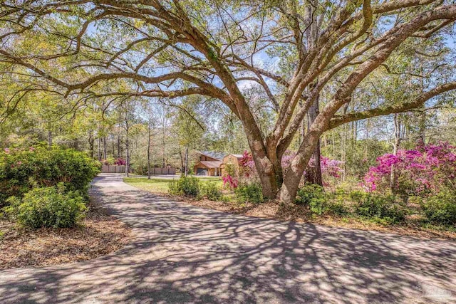 1221 Tecumseh Pl, Pensacola, FL 32514 - view of asphalt driveway