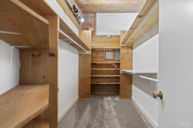 1221 Tecumseh Pl, Pensacola, FL 32514 - walk in closet featuring carpet floors
