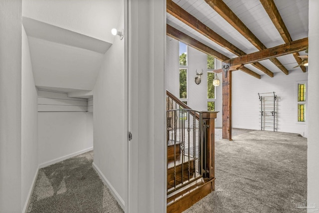 1221 Tecumseh Pl, Pensacola, FL 32514 - hallway with carpet flooring, plenty of natural light, and stairway