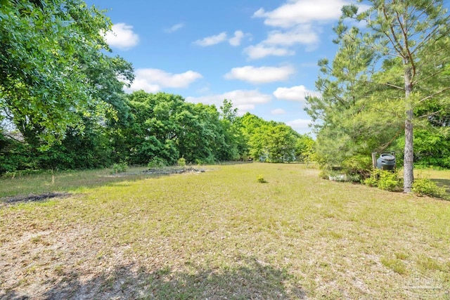 view of yard with a view of trees
