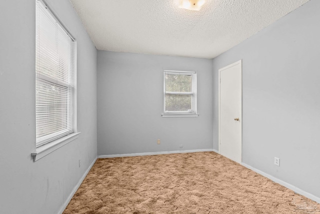 empty room featuring carpet flooring and a textured ceiling