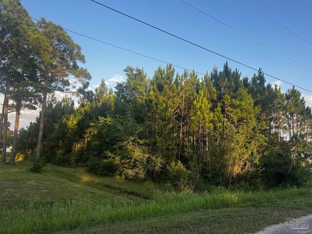 Listing photo 3 for 0000 Pearson Rd, Milton FL 32583