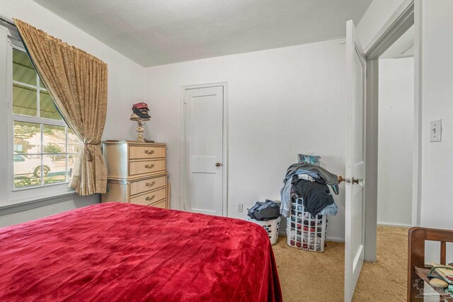 bedroom featuring carpet flooring