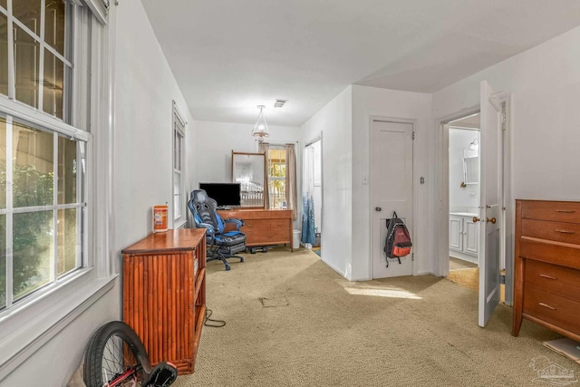 office area featuring carpet