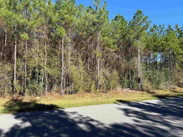 0000 Steele Meadow Dr, Pace FL, 32571 land for sale