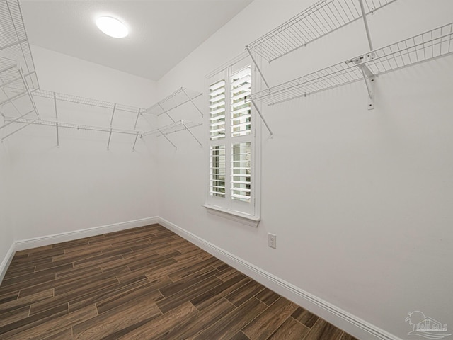 spacious closet featuring dark hardwood / wood-style flooring