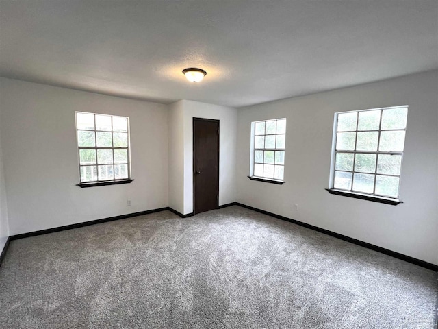 spare room featuring carpet floors and a textured ceiling