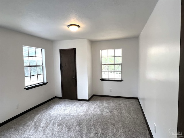 spare room featuring carpet and a wealth of natural light