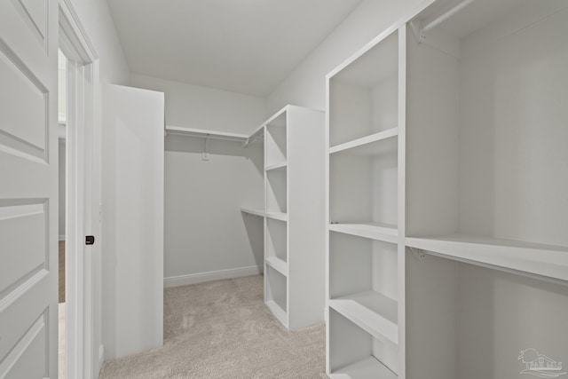 walk in closet featuring carpet flooring