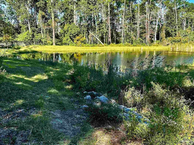 view of water feature