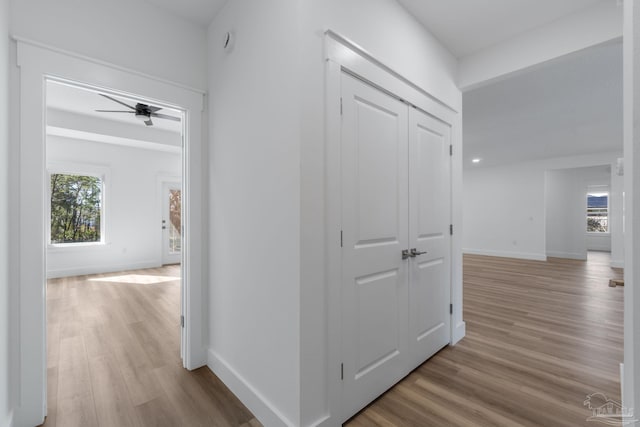 corridor with hardwood / wood-style floors